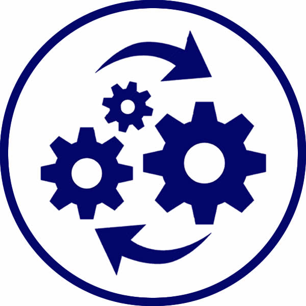Asesoria en operaciones aduaneras y de logística